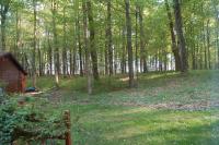 early S view-office 1.jpg