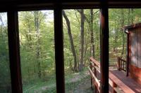 early N view-living room.jpg