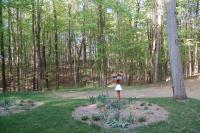 early E view-kitchen.jpg